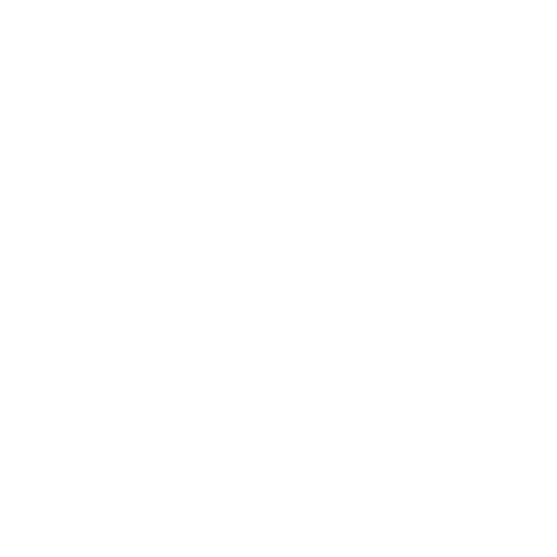 logo icon